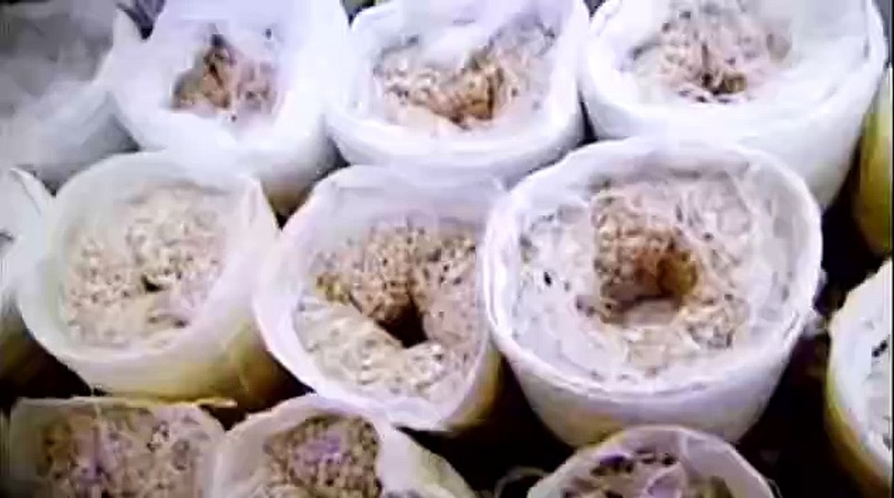 Dh200m worth of captagon pills seized in Ajman