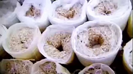 Dh200m worth of captagon pills seized in Ajman