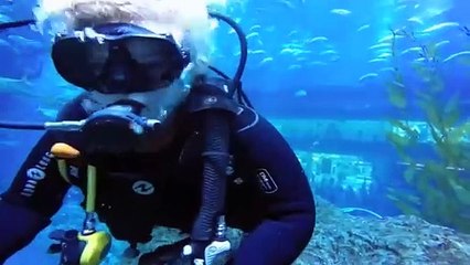 Close encounters with sharks at Dubai Aquarium