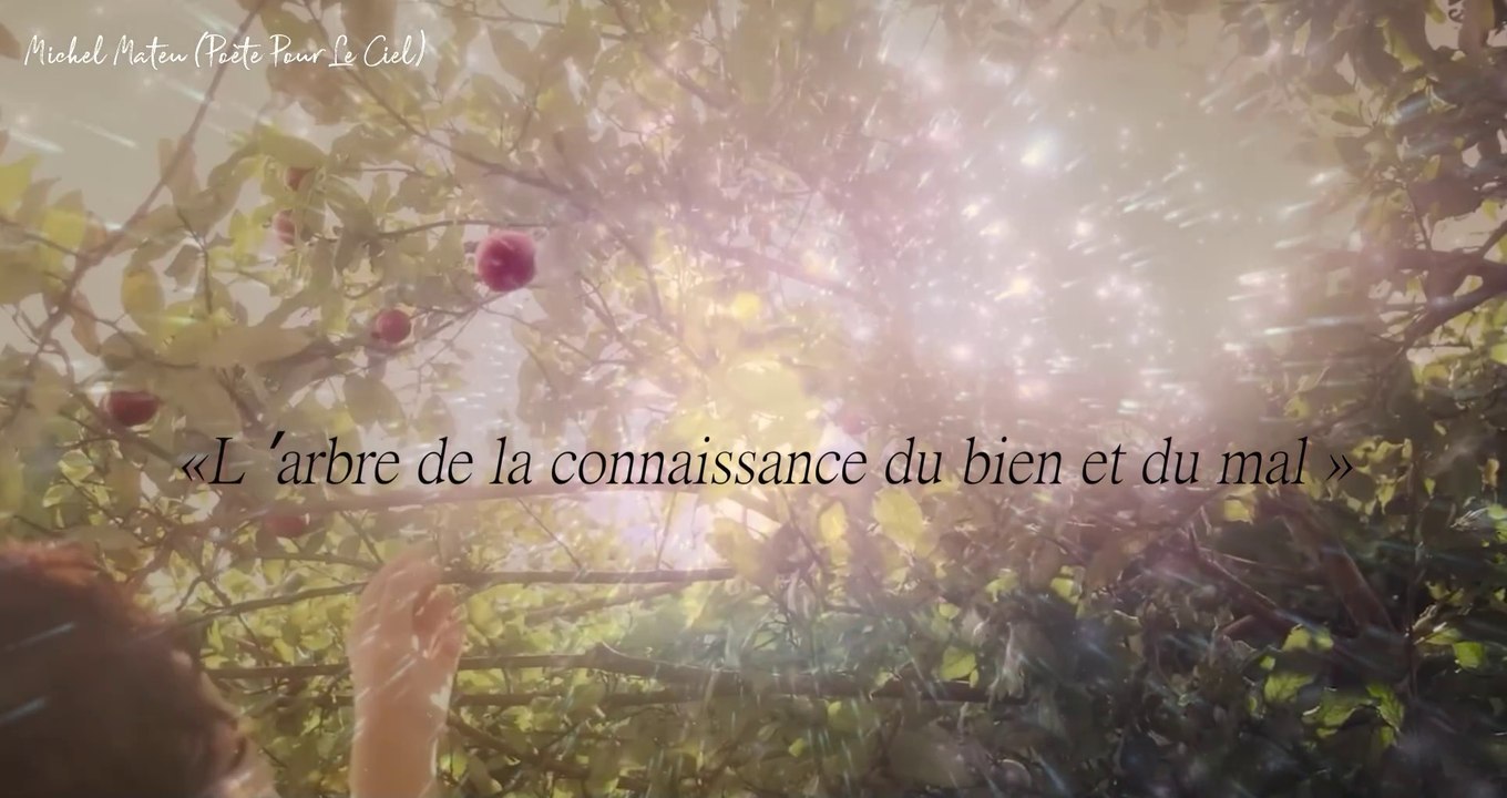 La Chute De L'homme — (Official Clip - ALBUM VIE ) 2025