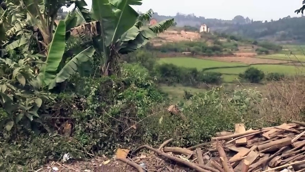 La route du retour  de la campagne de Lunaria vers la ville