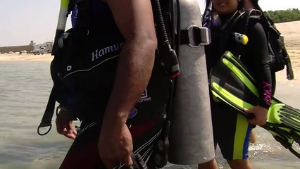 Divers take the tide on trash