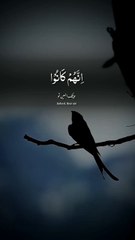 Tilavat al Quran  beautiful sound\\AL MAKKAH