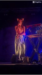 Music Show Performance With Agar Agar    #music #show #france #musicvideo #musicshow  (56)