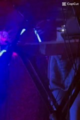 Music Show Performance With Agar Agar    #music #show #france #musicvideo #musicshow  (65)