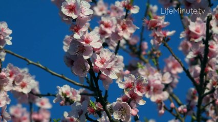 Jamie Chung Attends JUZUI Show at NYFW After Losing Her Home to LA Wildfires