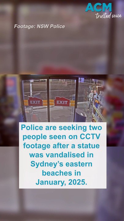 Vandalism and damage of statue in Randwick