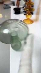 Random videos on Dailymotion internet