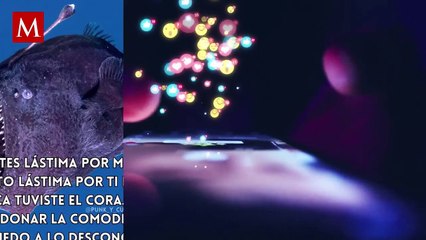 El pez fue encontrado en la superficie del mar, un hecho sin precedentes; esto desató reacciones