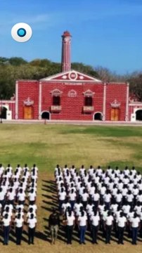 Senado aprueba el ingreso de militares de EE.UU a México I Reporte Indigo