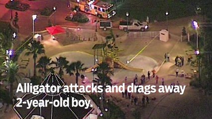 Orlando killer’s wife faces arrest - GN Headlines