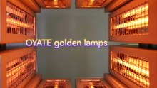 488mm 400v 2000w half gold coated halogen heat lamps