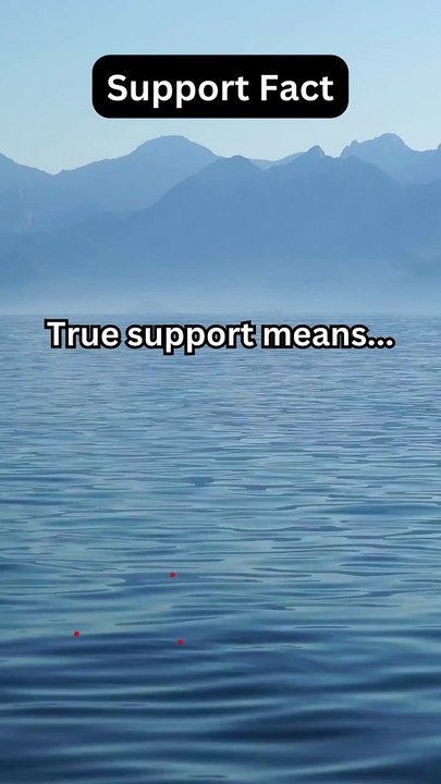 Support Fact