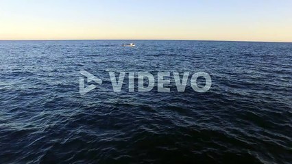 Fishing boat in the sea aerial view