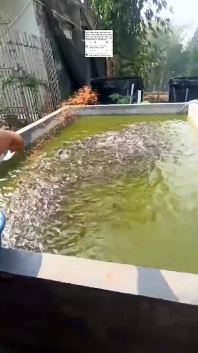 Usaha skala kecil margin kecil, skala besar juga belum tentu margin besar, realistis