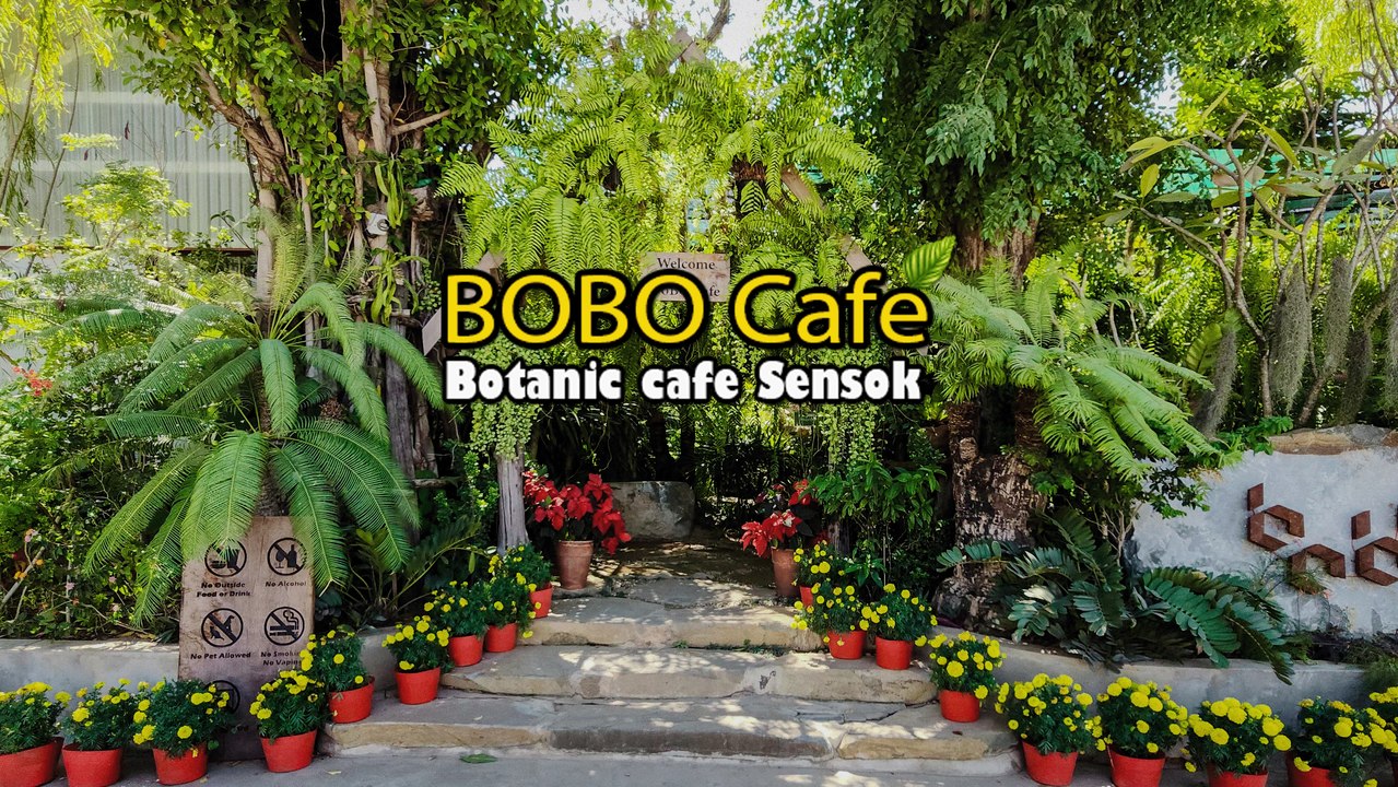ហាងកាហ្វេស្ងប់ស្ងាត់បែបធម្មជាតិ នៅសែនសុខយើងនិង 🌿☕️
