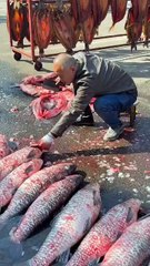 how to cut fish meat