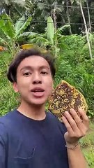 PUSAT !! WA : 0896-5396-7611 (Tsel), Grosir Madu Lanang Hitam Surabaya Malang