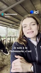 Ces élèves charentais-maritimes participent au Trophée International de l'Enseignement Agricole dans quelques jours !