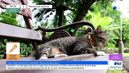 12/02/2025 - ici matin par ici Bourgogne en vidéo