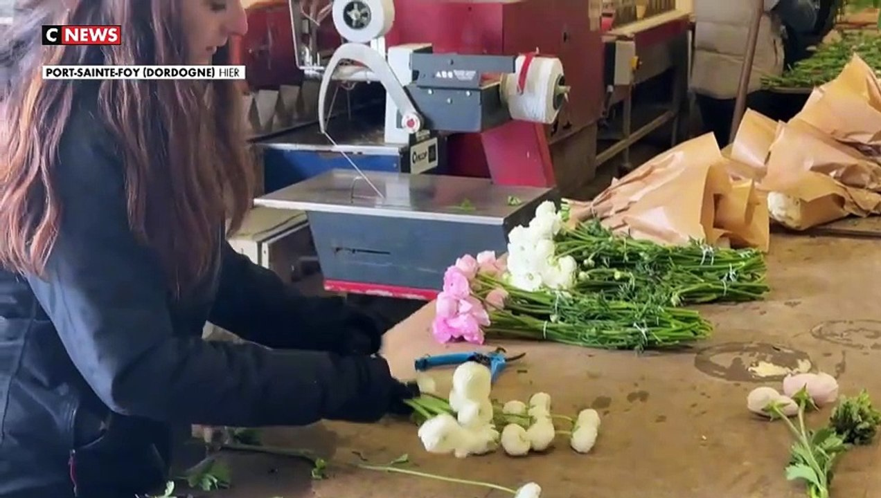 Saint-Valentin : les fleurs redynamisent l'économie