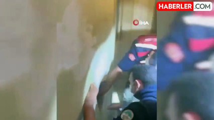 Kayseri'de Mahsur Kalan Kedi Enkaz Altı Cihazıyla Kurtarıldı