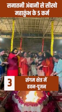 संगम नगरी में 'भक्ति-सेवा-एकता' का अनोखा संगम भक्ति में लीन दिखा सनातनी अंबानी परिवार