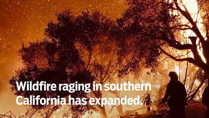 Mourinho involved in fight with Man City player - GN Headlines