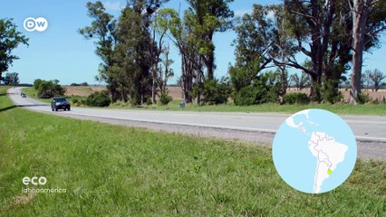 Mare Sustentable: transformar residuos rurales en oportunidades