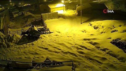Bayburt’ta aç kalan kurtlar köye indi! Muhtar dronla izlerini sürdü