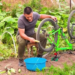 Smart ideas to make your Plant Happy! Garden hacks for beginners and Profi