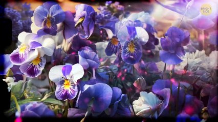 Why Did It Take So Long to Find the Titanic?