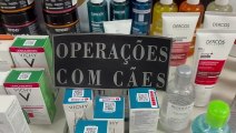 Quadrilha especializada em furtar farmácias é presa em Jundiaí