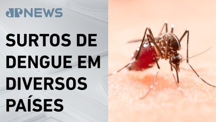 Organização Pan-Americana da Saúde alerta para dengue tipo 3 nas Américas