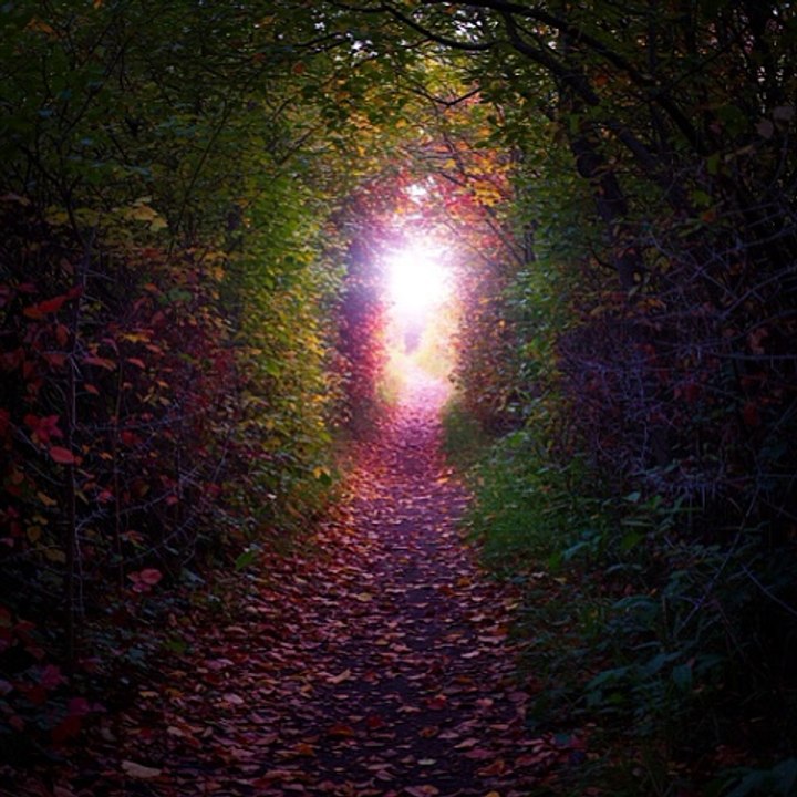 The Painful Path to Spiritual Awakening: Suffering leading to Transformation