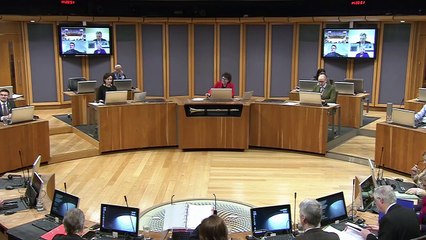 Plenary -Raglan junction question