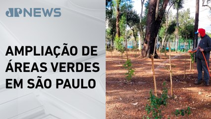 Prefeitura de SP lança programa Bosques Urbanos