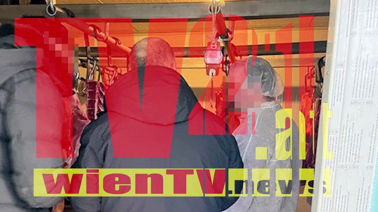 Wien - Gruppe Sofortmaßnahmen deckt weitere illegale Fleischerei auf