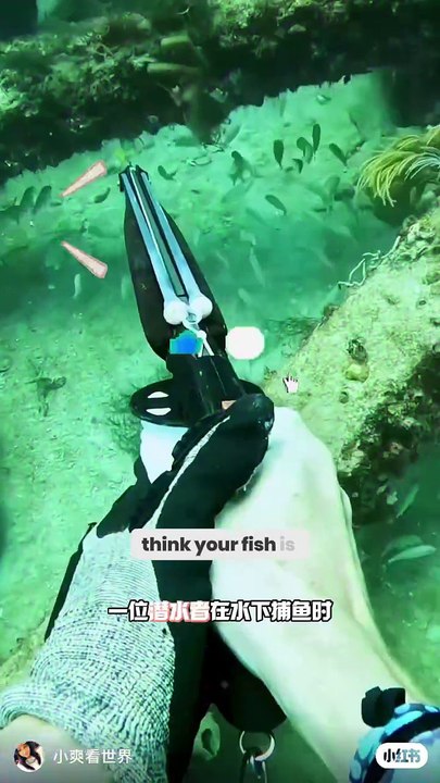 Shocking! Your Catch Isn’t Safe from These Thieves