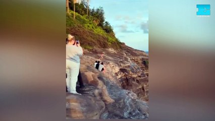 El salto del rugbier argentino desde el acantilado que le costó la muerte en Hawaii
