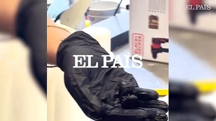 Muere el pez diablo negro que apareció en Tenerife