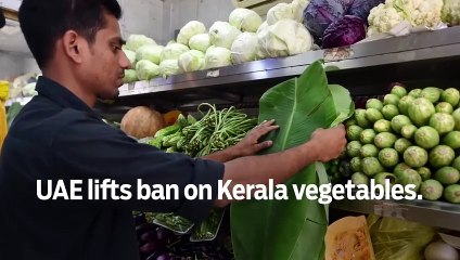 GN Headlines - UAE lifts ban on Kerala vegetables
