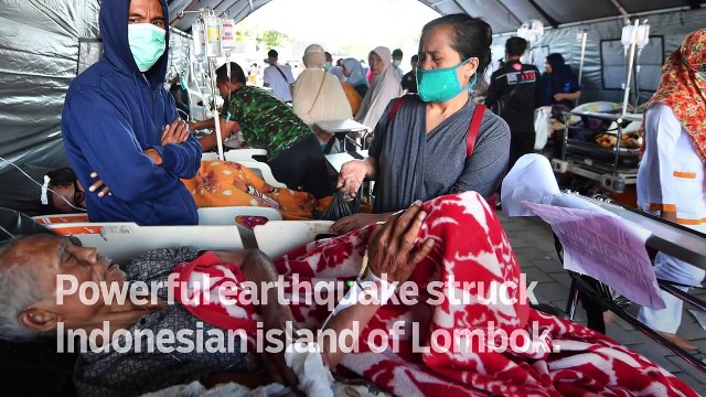 Indonesia quake toll rises to 91 - GN Headlines