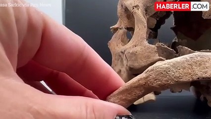 Arkeologlar, "vampire dönüşmesin" diye başı kesilen bir erkeğin mezarını buldu