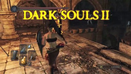 Dark Souls 2 #2 Guia 100x100 vuelta 3 Cooperativo Jefe Bosque de los gigantes