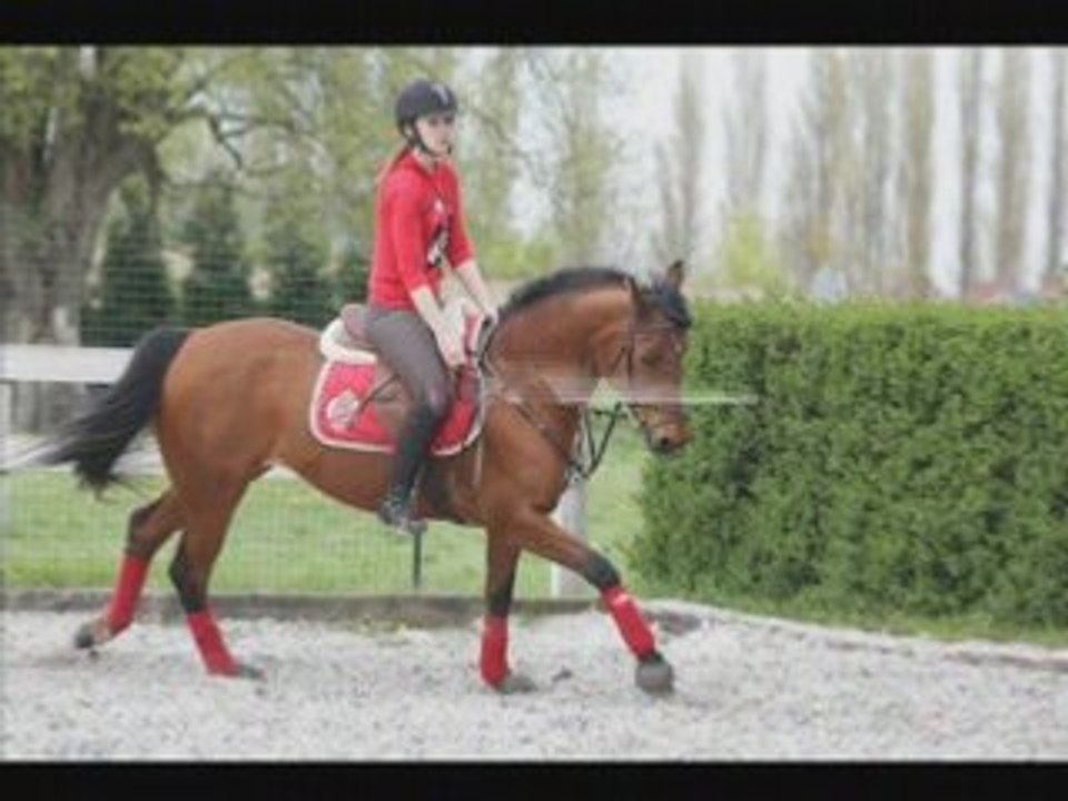 Mes tof