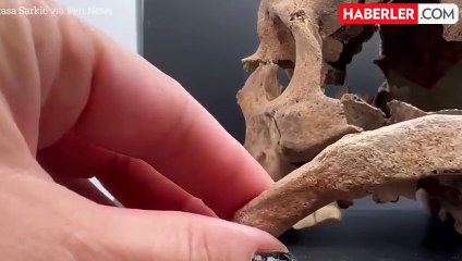 Arkeologlar, "vampire dönüşmesin" diye başı kesilen bir erkeğin mezarını buldu