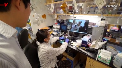 These Microbots Could One Day Deliver Targeted Drug Therapy in Cancer Patients