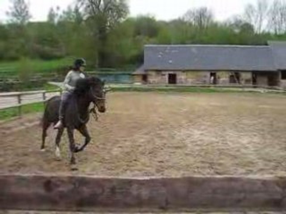 Galop en Licol