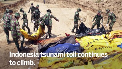 Indonesia tsunami toll continues to climb - GN Headlines